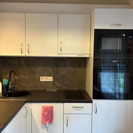 Cat Garden Classic *