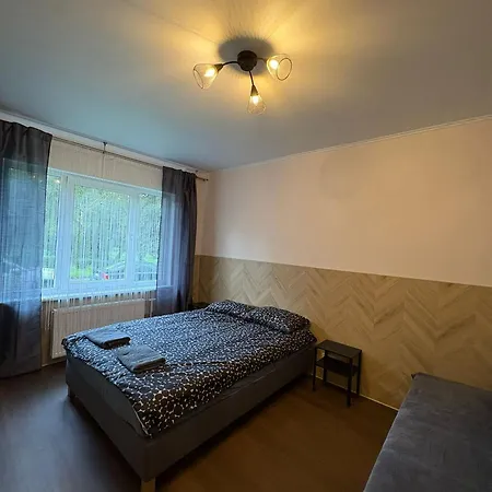 Apartamento Cat Garden Classic