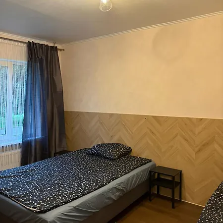 Cat Garden Classic *